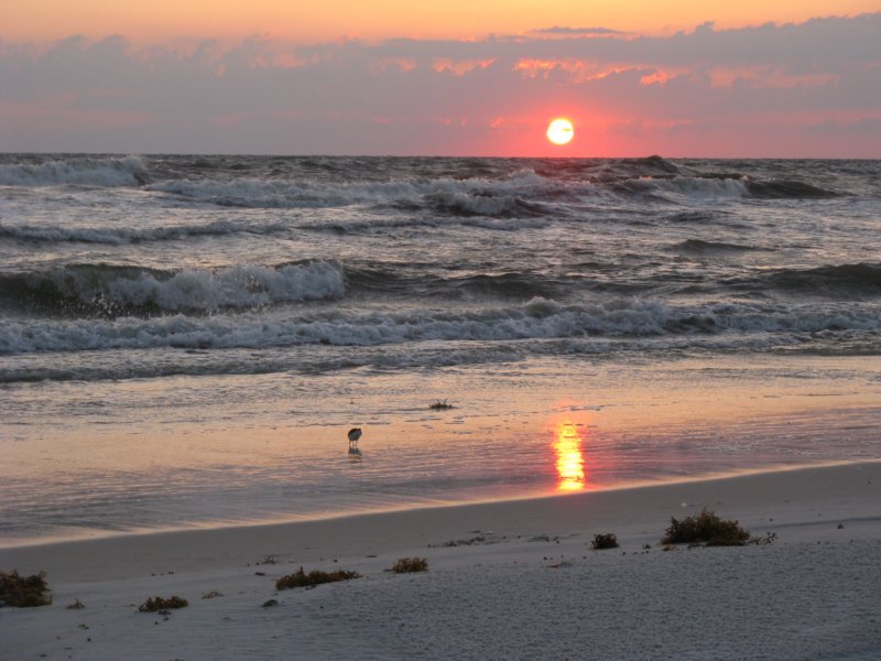 beach11.jpg