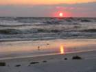 beach11_small.jpg