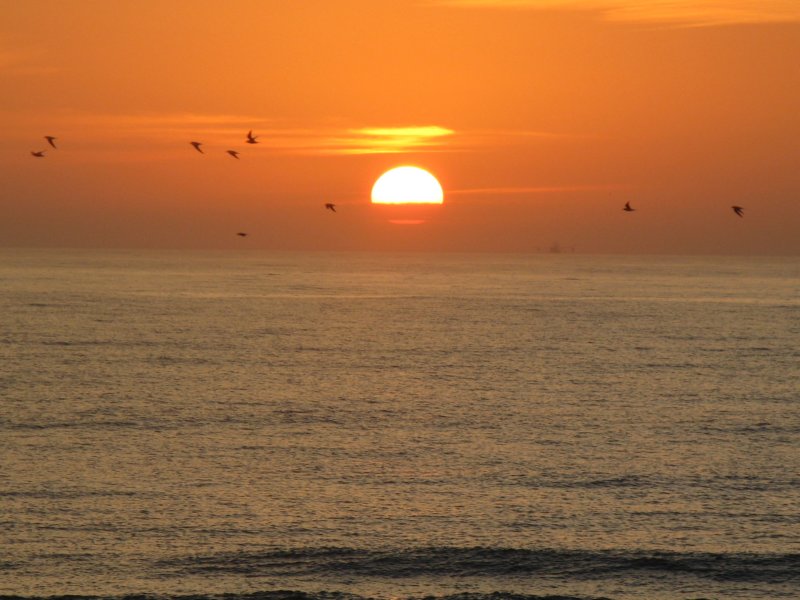beach13.jpg