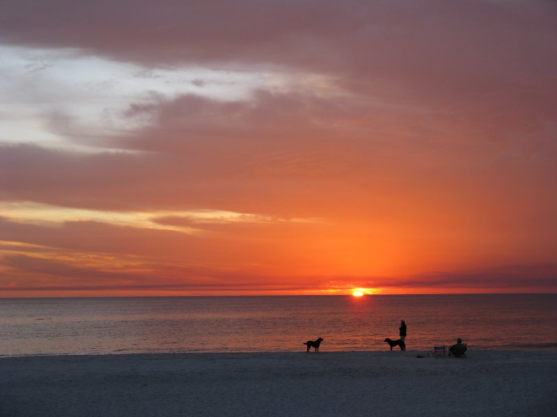 beach15.jpg