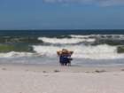 beach1_small.jpg