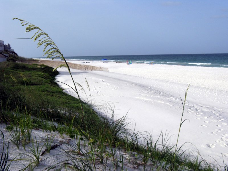 beach5.jpg