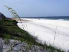 beach5_small.jpg