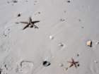 beach6_small.jpg