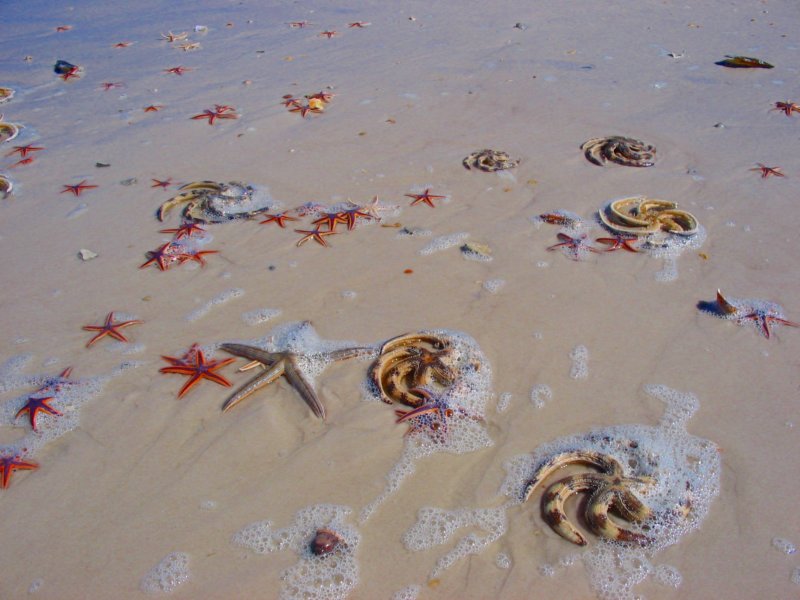 beach7.jpg