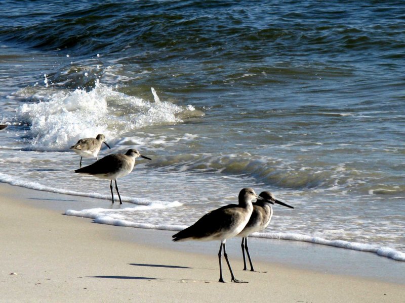 beach9.jpg
