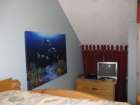 bunkroom3_small.jpg
